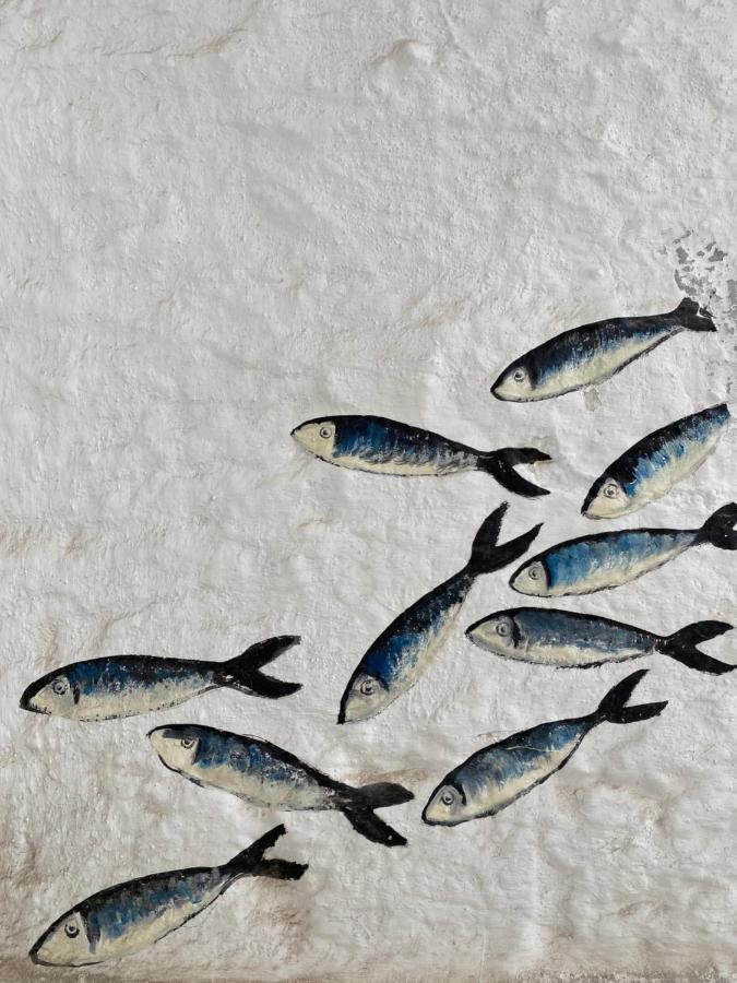 滨海波利尼亚诺Dimora Apuliae• Dimora Di Puglia别墅 外观 照片